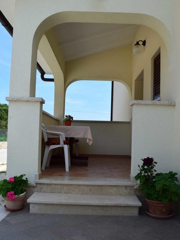 Guesthouse Marko Musalez Exterior photo